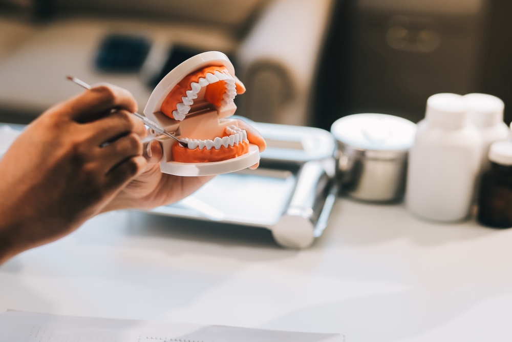 Dental model used to explain implant placement at The Foleck Center in Virginia Beach 