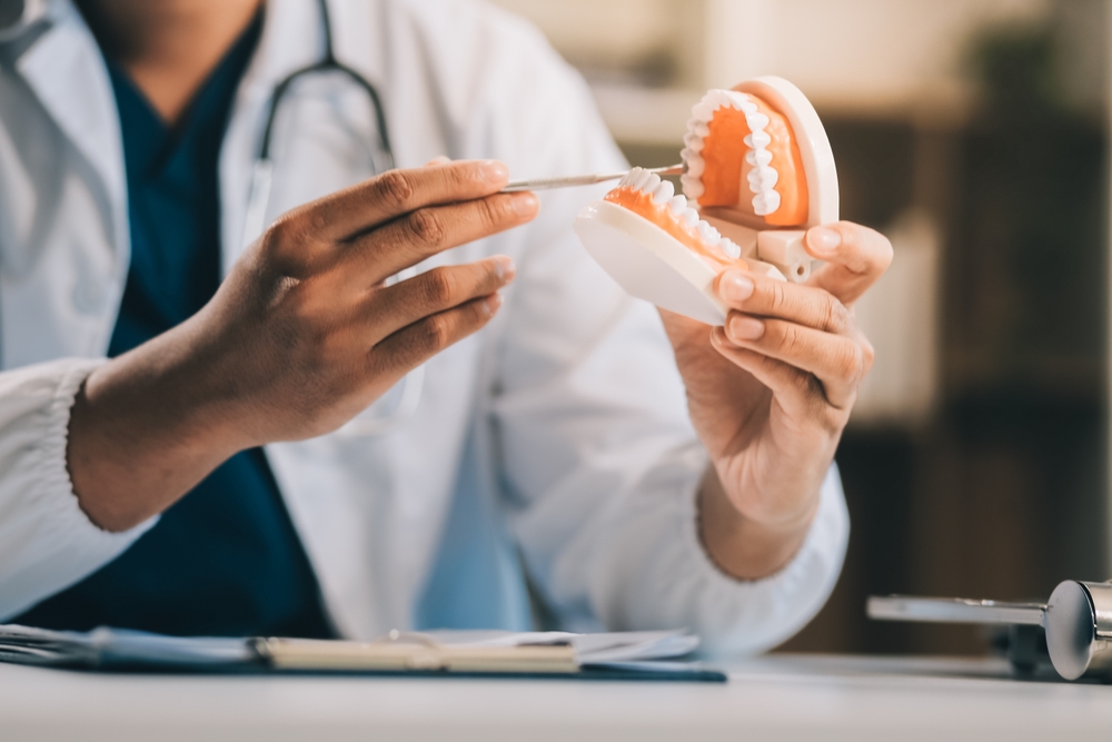 Reviewing Denture Model: Norfolk Full-Mouth Reconstruction Dentist examining a denture model while explaining full-mouth reconstruction options in Norfolk