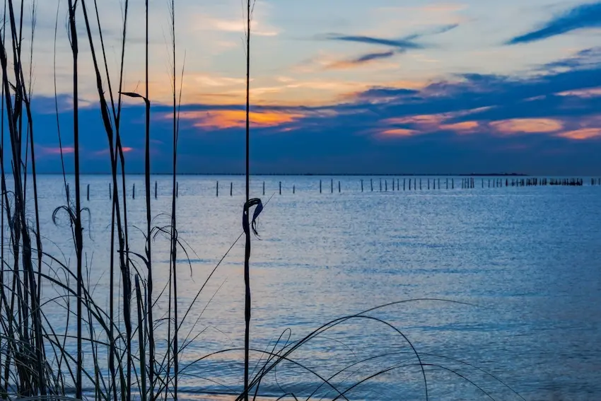 Chesapeake waterway at dusk, things to do near The Foleck Center, Chesapeake, VA Marsh grass silhouette at dusk along a Chesapeake waterway, reflecting the coastal scenery near The Foleck Center dental offices serving patients in the Chesapeake community