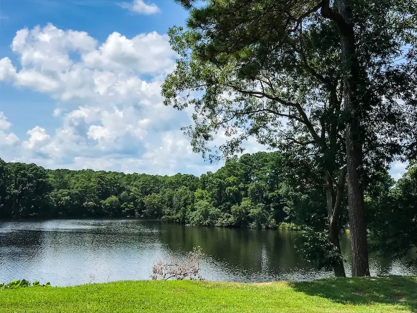 Scenic lake and tree-lined shoreline in the Suffolk community, Virginia Outdoor lakeside landscape in the Suffolk community, Virginia